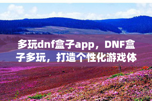 多玩dnf盒子app，DNF盒子多玩，打造个性化游戏体验