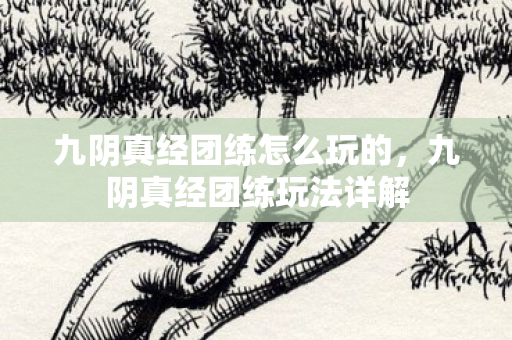 九阴真经团练怎么玩的,九阴真经团练玩法详解 九阴真经团练怎么玩的,九阴真经团练玩法详解