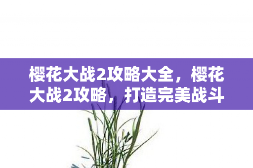 樱花大战2攻略大全,樱花大战2攻略,打造完美战斗体验 樱花大战2攻略大全,樱花大战2攻略,打造完美战斗体验