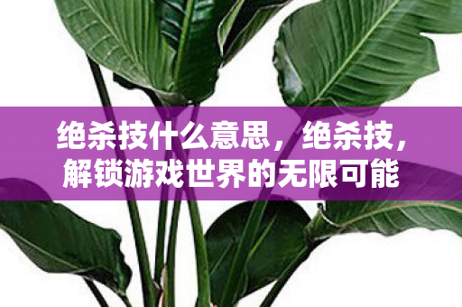 绝杀技什么意思,绝杀技,解锁游戏世界的无限可能 绝杀技什么意思,绝杀技,解锁游戏世界的无限可能