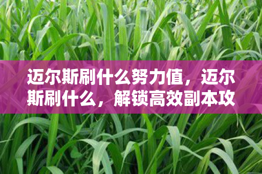 迈尔斯刷什么努力值，迈尔斯刷什么，解锁高效副本攻略