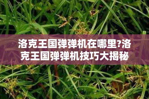 洛克王国弹弹机在哪里?洛克王国弹弹机技巧大揭秘