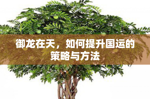 御龙在天,如何提升国运的策略与方法 御龙在天,如何提升国运的策略与方法