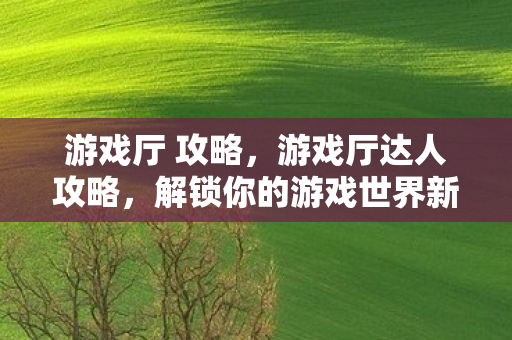 游戏厅 攻略，游戏厅达人攻略，解锁你的游戏世界新境界