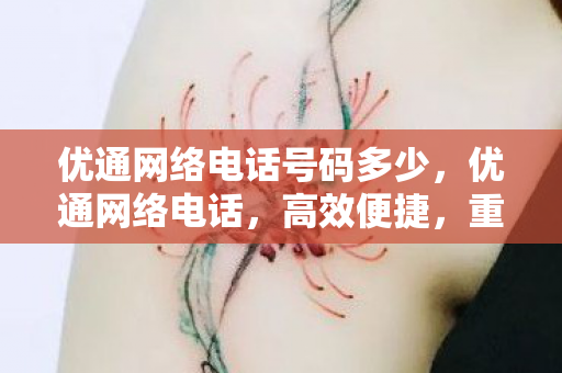 优通网络电话号码多少，优通网络电话，高效便捷，重塑通信新体验