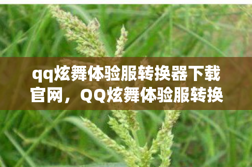 qq炫舞体验服转换器下载官网，QQ炫舞体验服转换器下载，解锁全新游戏体验