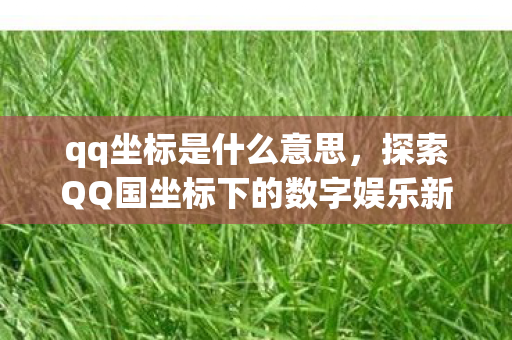 qq坐标是什么意思，探索QQ国坐标下的数字娱乐新生态