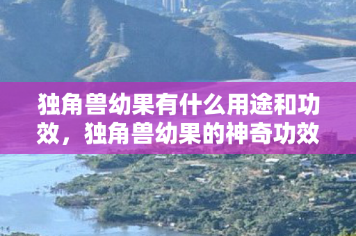 独角兽幼果有什么用途和功效，独角兽幼果的神奇功效与用途探索