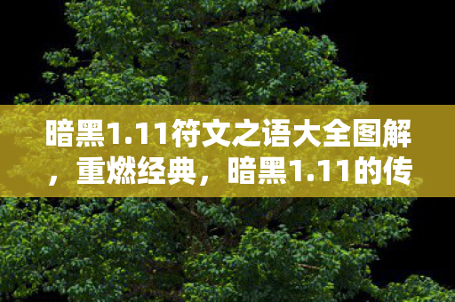 暗黑1.11符文之语大全图解，重燃经典，暗黑1.11的传奇魅力