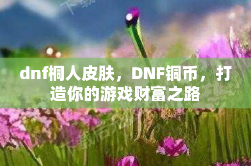 dnf桐人皮肤，DNF铜币，打造你的游戏财富之路
