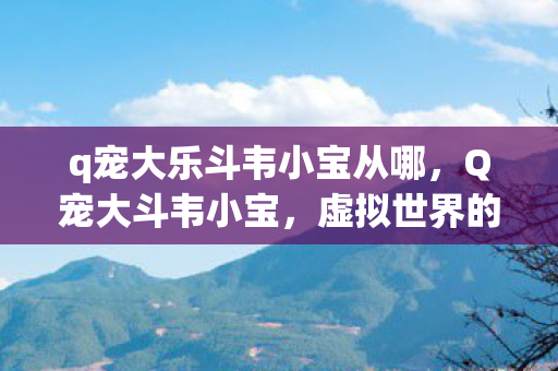 q宠大乐斗韦小宝从哪，Q宠大斗韦小宝，虚拟世界的欢乐对决