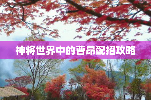 神将世界中的曹昂配招攻略