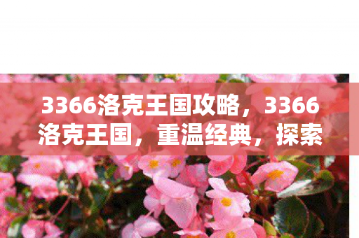 3366洛克王国攻略，3366洛克王国，重温经典，探索无限可能的虚拟世界