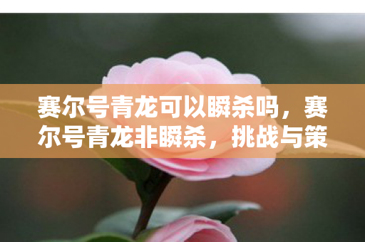 赛尔号青龙可以瞬杀吗，赛尔号青龙非瞬杀，挑战与策略的深度剖析