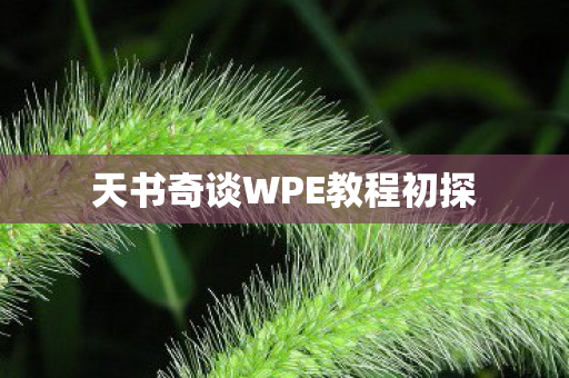 天书奇谈WPE教程初探