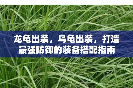 龙龟出装，乌龟出装，打造最强防御的装备搭配指南