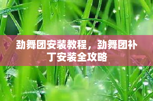 劲舞团安装教程，劲舞团补丁安装全攻略