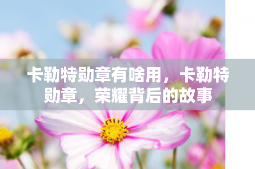 卡勒特勋章有啥用，卡勒特勋章，荣耀背后的故事