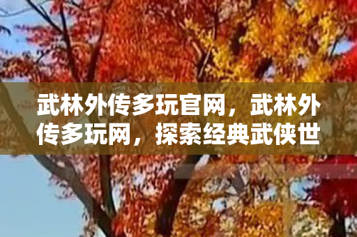 武林外传多玩官网，武林外传多玩网，探索经典武侠世界的多元玩法