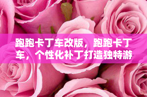 跑跑卡丁车改版，跑跑卡丁车，个性化补丁打造独特游戏体验