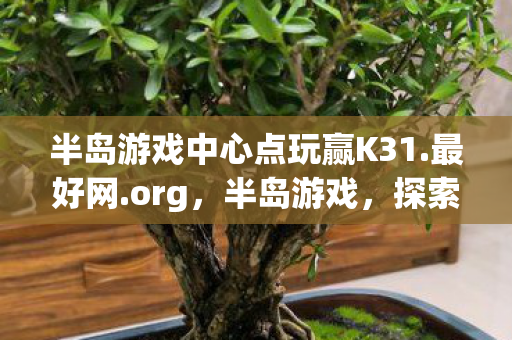半岛游戏中心点玩赢K31.最好网.org，半岛游戏，探索未知世界的奇妙之旅