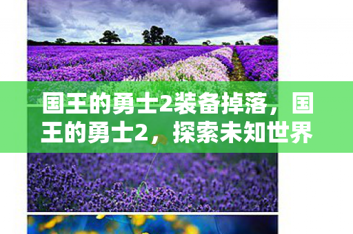 国王的勇士2装备掉落，国王的勇士2，探索未知世界的奇幻之旅