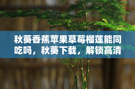 秋葵香蕉苹果草莓榴莲能同吃吗，秋葵下载，解锁高清影视资源的便捷途径