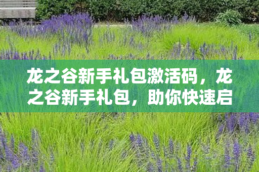 龙之谷新手礼包激活码,龙之谷新手礼包,助你快速启程的梦幻之旅 龙之谷新手礼包激活码,龙之谷新手礼包,助你快速启程的梦幻之旅