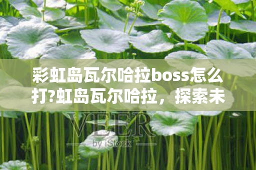 彩虹岛瓦尔哈拉boss怎么打?虹岛瓦尔哈拉，探索未知世界的奇幻之旅