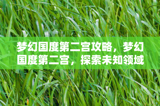 梦幻国度第二宫攻略，梦幻国度第二宫，探索未知领域的奇幻之旅