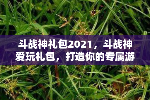 斗战神礼包2021，斗战神爱玩礼包，打造你的专属游戏世界