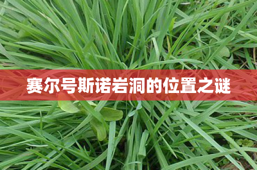赛尔号斯诺岩洞的位置之谜 赛尔号斯诺岩洞的位置之谜