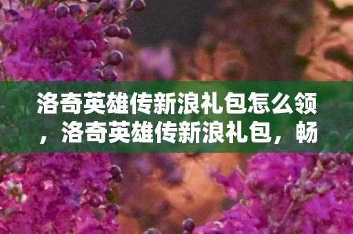 洛奇英雄传新浪礼包怎么领,洛奇英雄传新浪礼包,畅游英雄世界的钥匙 洛奇英雄传新浪礼包怎么领,洛奇英雄传新浪礼包,畅游英雄世界的钥匙