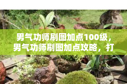 男气功师刷图加点100级，男气功师刷图加点攻略，打造高效战斗体验