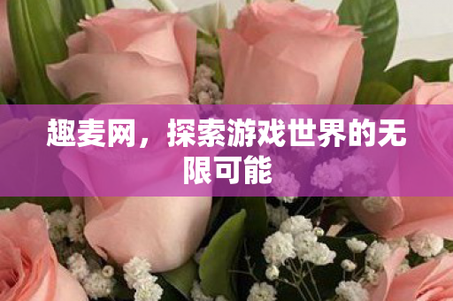 趣麦网，探索游戏世界的无限可能