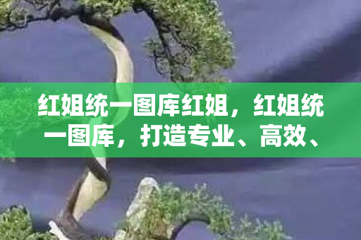 红姐统一图库红姐,红姐统一图库,打造专业、高效、安全的图片管理新体验 红姐统一图库红姐,红姐统一图库,打造专业、高效、安全的图片管理新体验