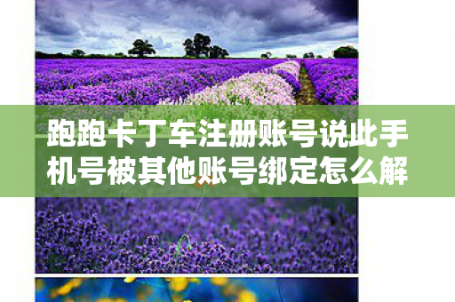 跑跑卡丁车注册账号说此手机号被其他账号绑定怎么解决，注册跑跑卡丁车账号，畅享极速漂移乐趣