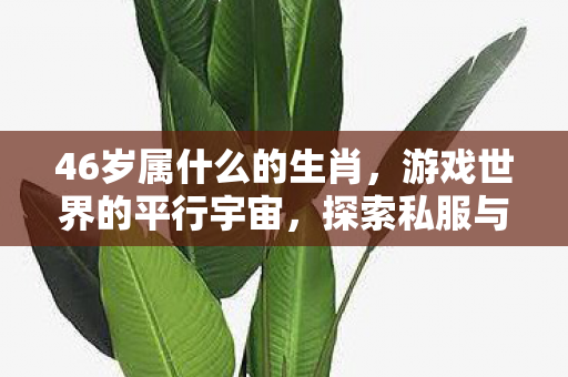 46岁属什么的生肖,游戏世界的平行宇宙,探索私服与官方服务器的独特魅力 46岁属什么的生肖,游戏世界的平行宇宙,探索私服与官方服务器的独特魅力