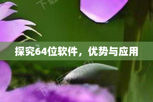探究64位软件，优势与应用