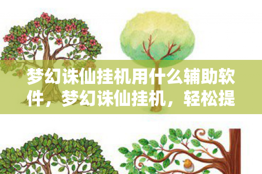 梦幻诛仙挂机用什么辅助软件，梦幻诛仙挂机，轻松提升等级与效率