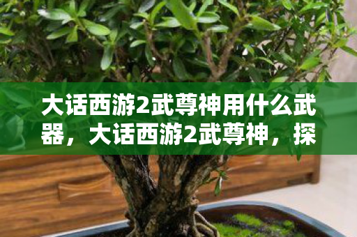 大话西游2武尊神用什么武器,大话西游2武尊神,探寻经典背后的传奇故事 大话西游2武尊神用什么武器,大话西游2武尊神,探寻经典背后的传奇故事