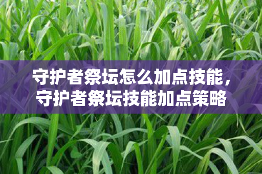守护者祭坛怎么加点技能，守护者祭坛技能加点策略