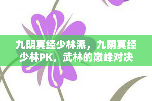九阴真经少林派，九阴真经少林PK，武林的巅峰对决
