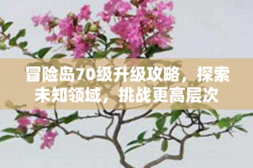 冒险岛70级升级攻略，探索未知领域，挑战更高层次