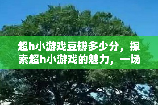 超h小游戏豆瓣多少分，探索超h小游戏的魅力，一场虚拟世界的奇妙之旅