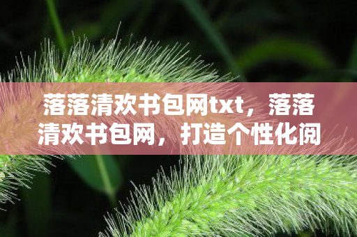落落清欢书包网txt，落落清欢书包网，打造个性化阅读体验的新选择