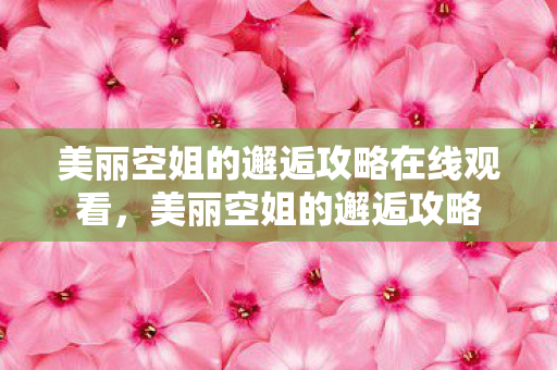 美丽空姐的邂逅攻略在线观看,美丽空姐的邂逅攻略 美丽空姐的邂逅攻略在线观看,美丽空姐的邂逅攻略