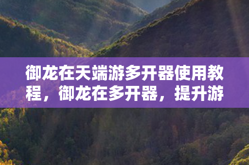 御龙在天端游多开器使用教程，御龙在多开器，提升游戏体验的利器