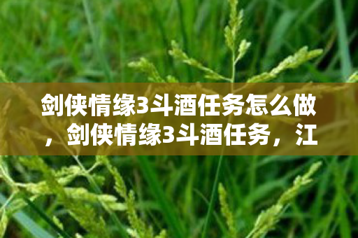 剑侠情缘3斗酒任务怎么做，剑侠情缘3斗酒任务，江湖中的酒文化