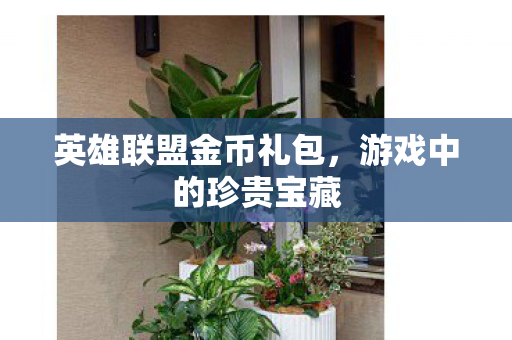 英雄联盟金币礼包，游戏中的珍贵宝藏
